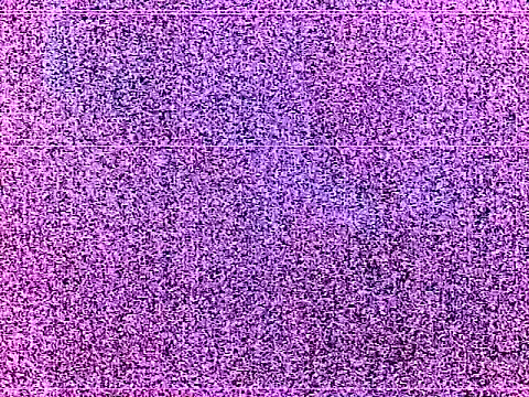 elturcudito webcam