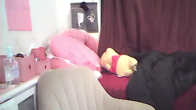 SAUo webcam