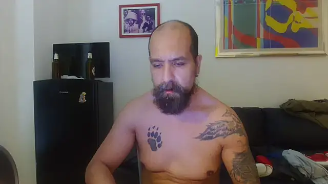 AMIRDIB2025 webcam