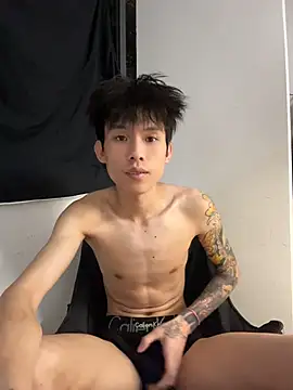 KPL-11 webcam
