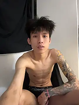 KPL-11 webcam