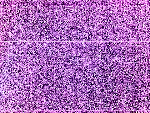 elturcudito webcam