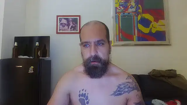 AMIRDIB2025 webcam