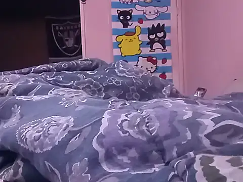 Blkstylion webcam