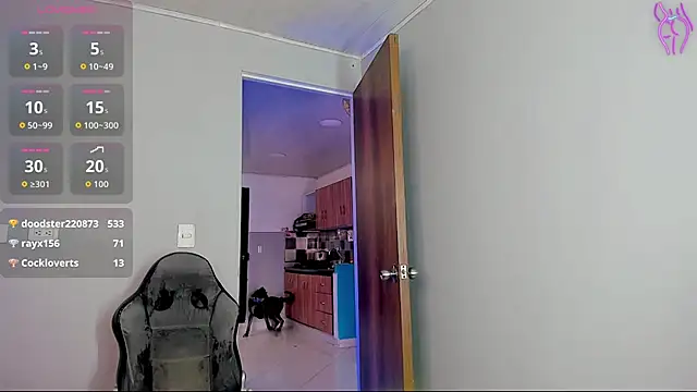 Miissblunt webcam