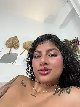 brizzmotion webcam