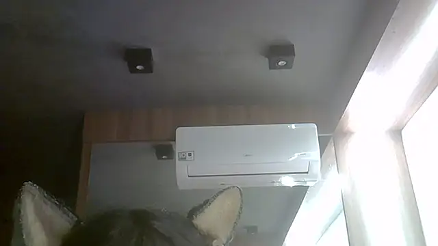 SkinnyKitten webcam