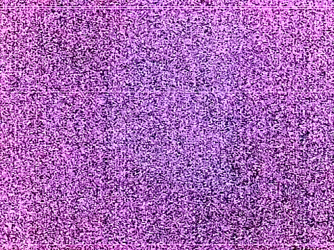 elturcudito webcam