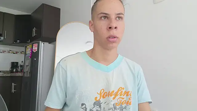 grey___27 webcam