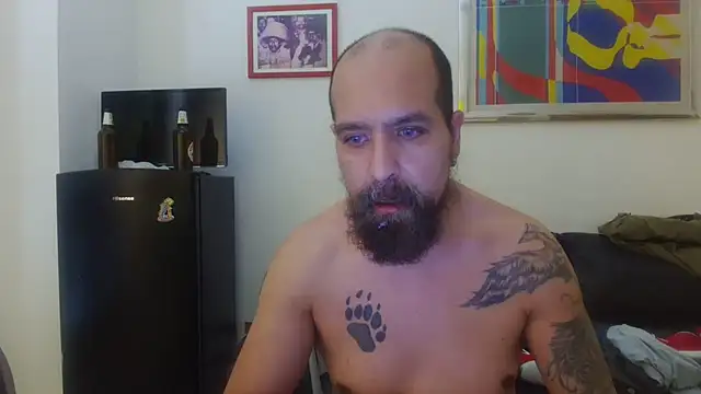 AMIRDIB2025 webcam