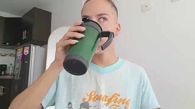 grey___27 webcam