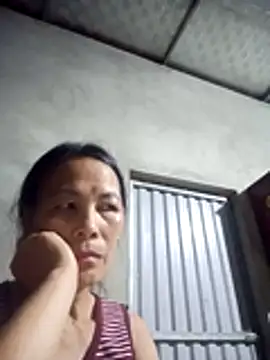 toyo_668 webcam
