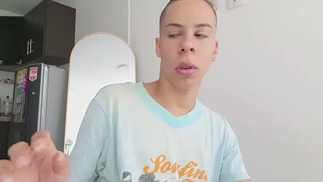 grey___27 webcam