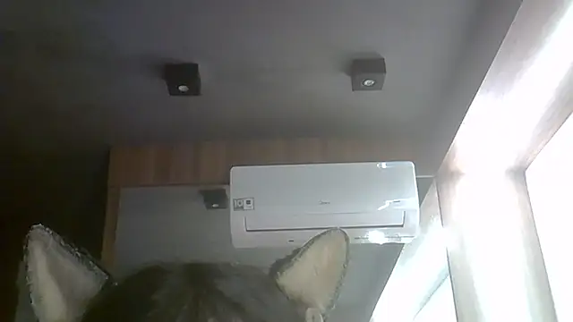 SkinnyKitten webcam