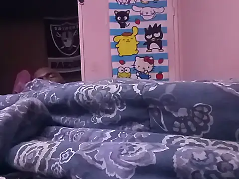 Blkstylion webcam