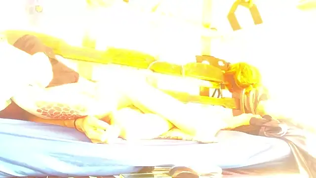 laye19 webcam