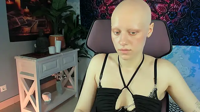 LidaDarknet webcam