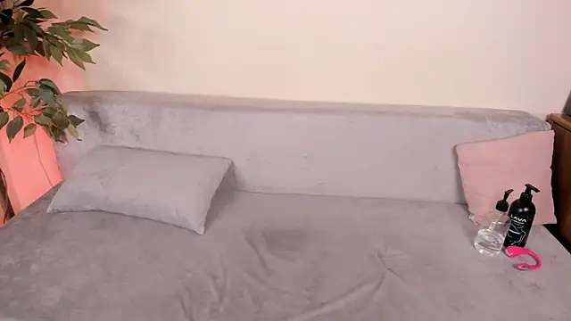 DreamSlick webcam