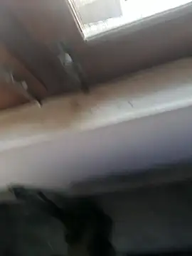 big_cock_9inchess