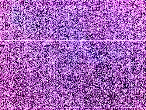 elturcudito webcam