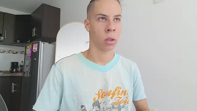 grey___27 webcam