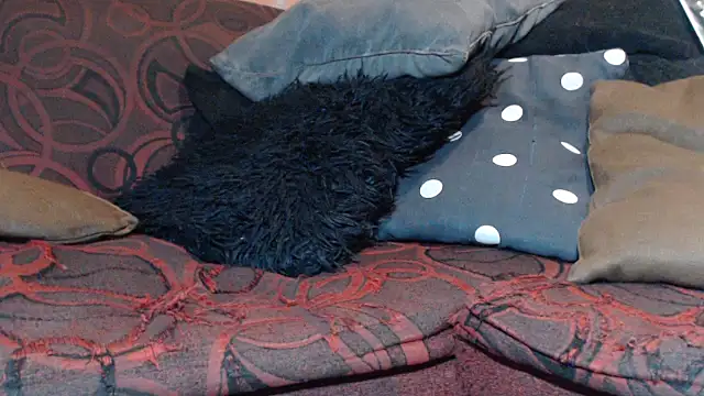DevoraAmateur webcam