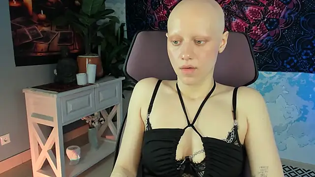 LidaDarknet webcam