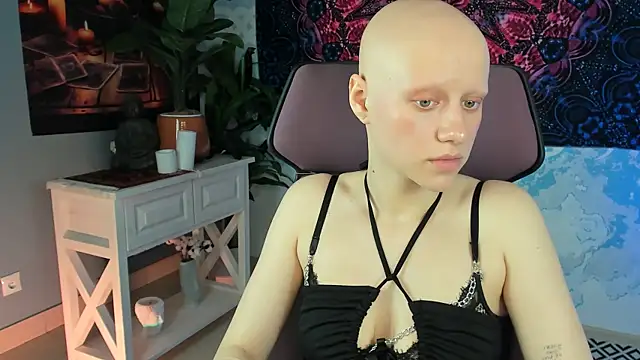 LidaDarknet webcam