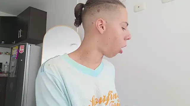 grey___27 webcam