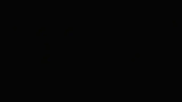 Angelmusee webcam