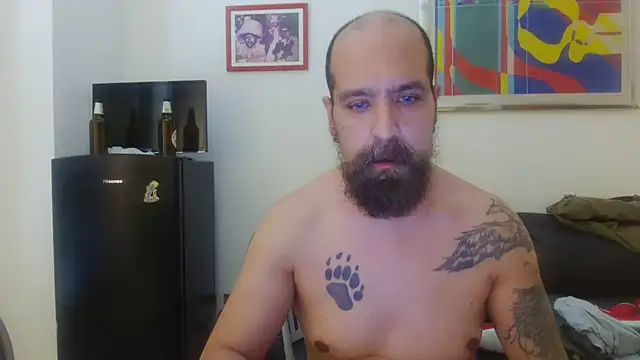 AMIRDIB2025