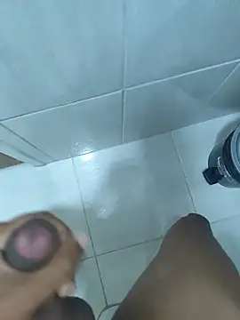 eueelaliberal13 webcam
