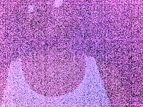 elturcudito webcam