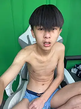 DD-101 webcam