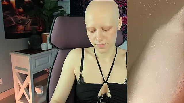 LidaDarknet webcam