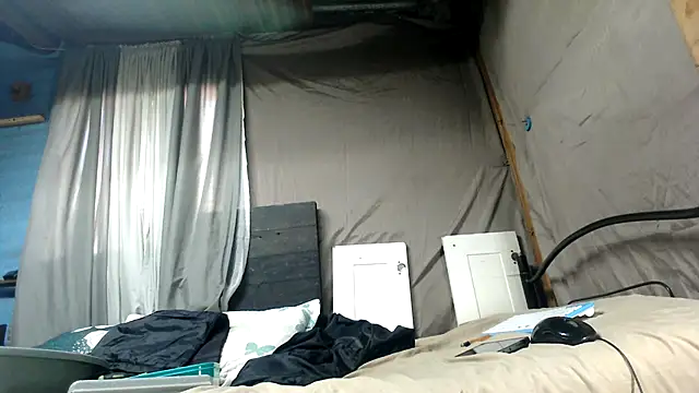 Camodick webcam