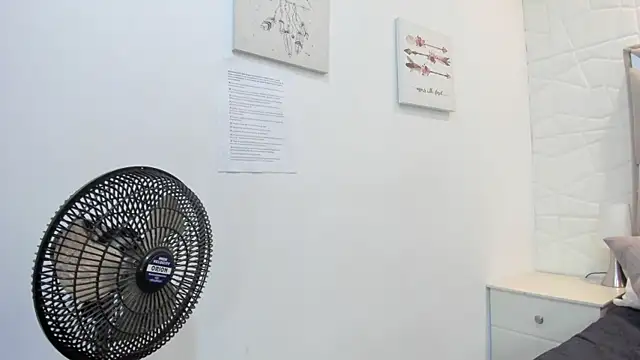 valentinasu webcam