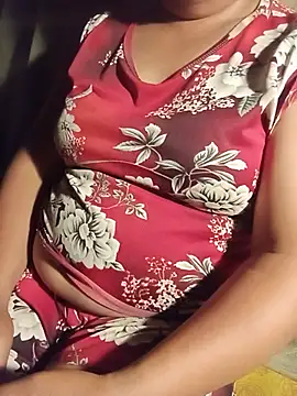 Ip34 webcam