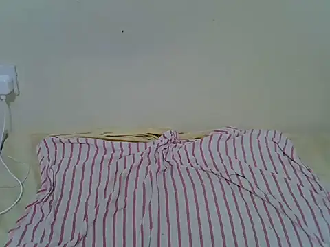 Twerl webcam