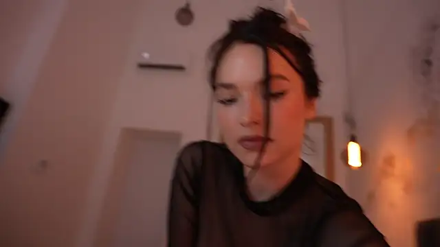 ibiddi webcam