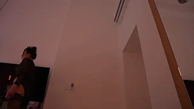 ibiddi webcam