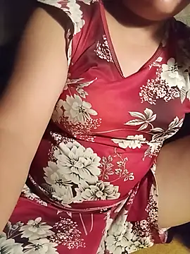 Ip34 webcam