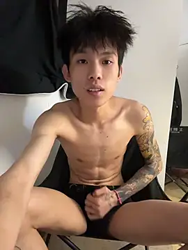 KPL-11 webcam