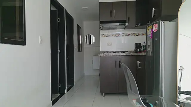 grey___27 webcam
