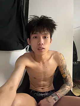 KPL-11 webcam