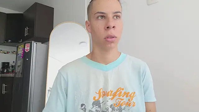 grey___27 webcam