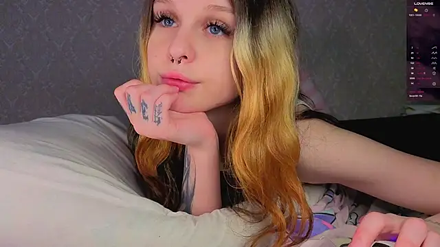 Hi_Kitti webcam