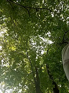 Sportalphaboy webcam