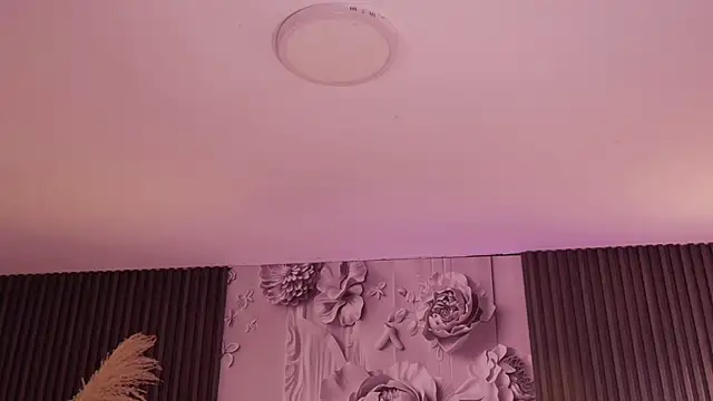 soidai_miiu webcam