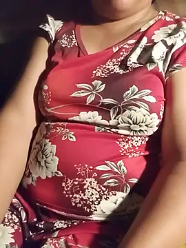 Ip34 webcam